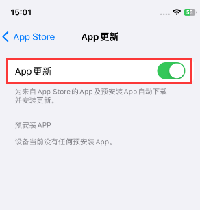 农安苹果15维修中心如何让iPhone15APP自动更新